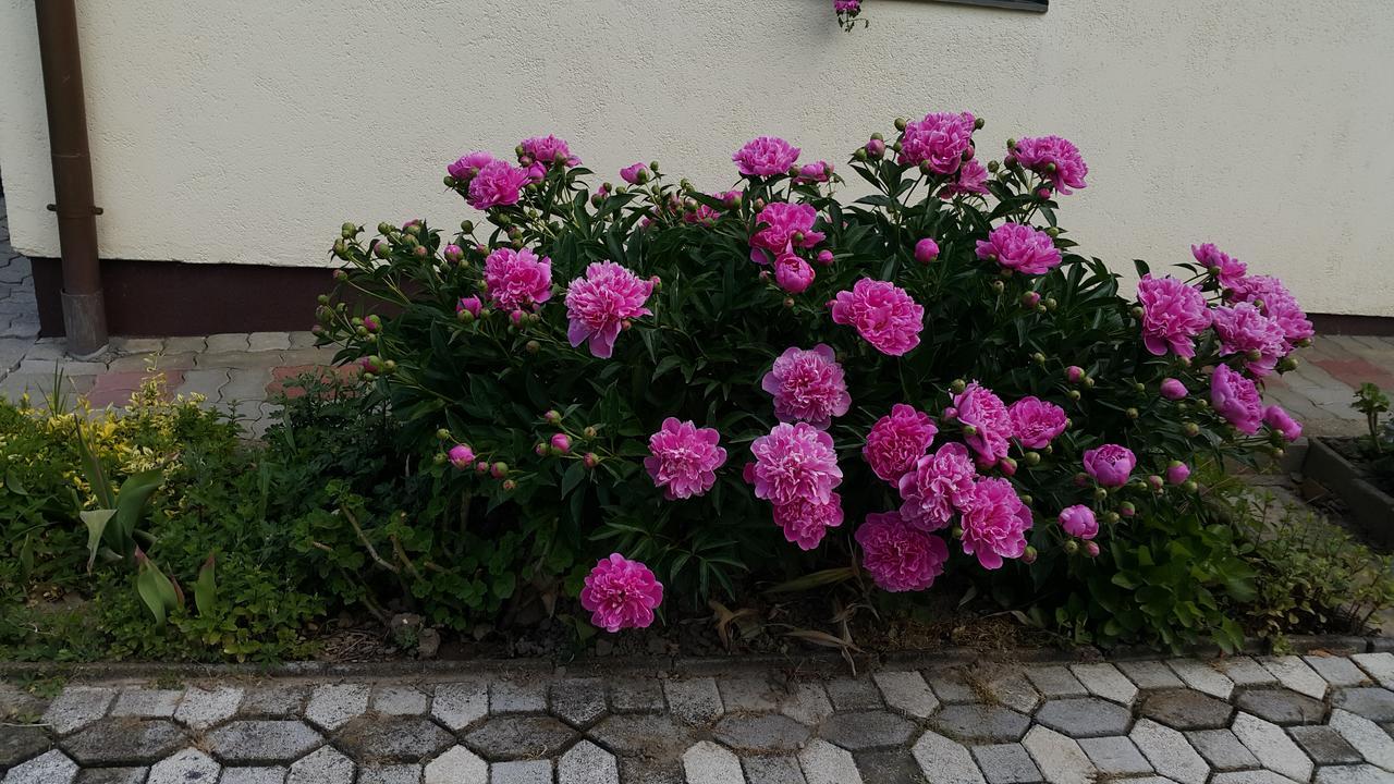Marietta Apartman Hévíz Esterno foto